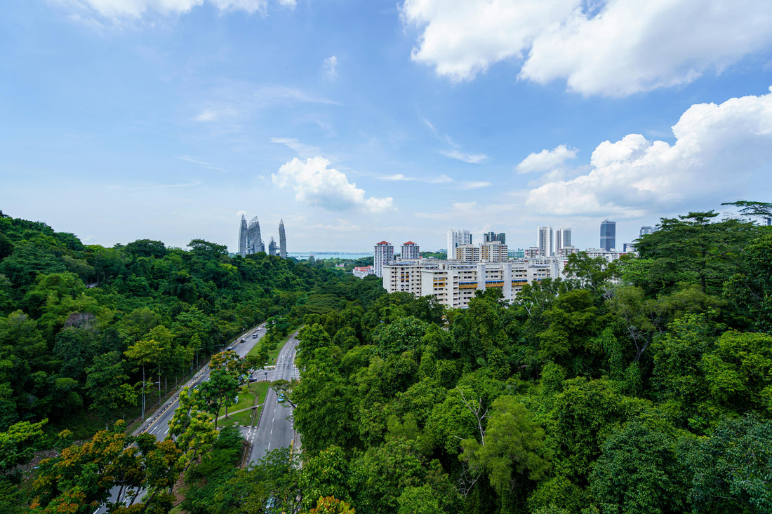 Urban Ecology: Nature Thriving in the City