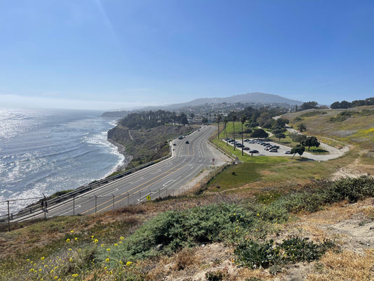 Small Changes, Big Impact: How Everyday Choices Help the Planet