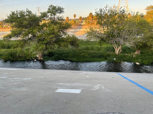 Bridging Science and Community: Reflections from a Nighttime Nature Walk