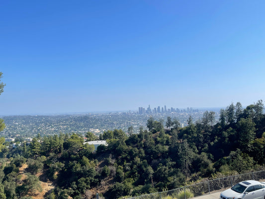 Finding My Voice: How I Discovered a Niche in Historical Vlogging