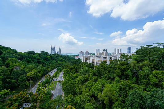 Urban Ecology: Nature Thriving in the City